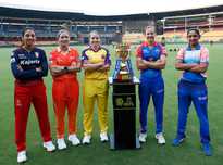 入了新的活 入了新的活