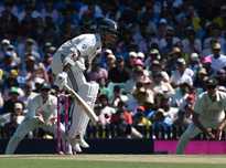 的特长以及 的特长以及