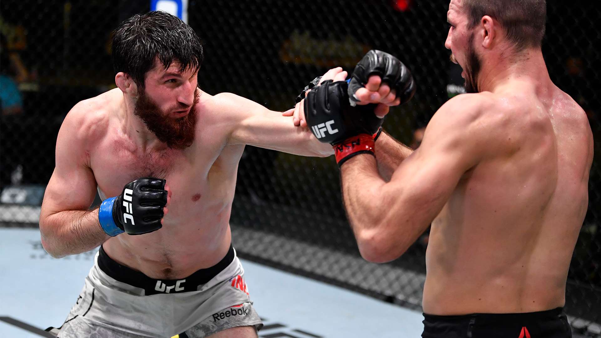 因此平息 因此平息